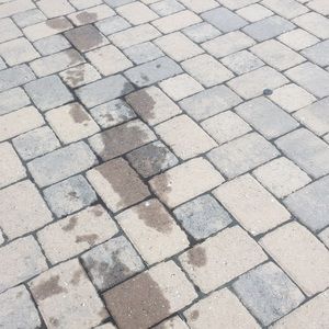 Meet your Posher, Rabia